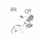 Citroen C3 B618 Vites Topuzu Otomatik Orjinal