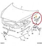 Peugeot 307 Motor Kaput Menteşesi Sağ